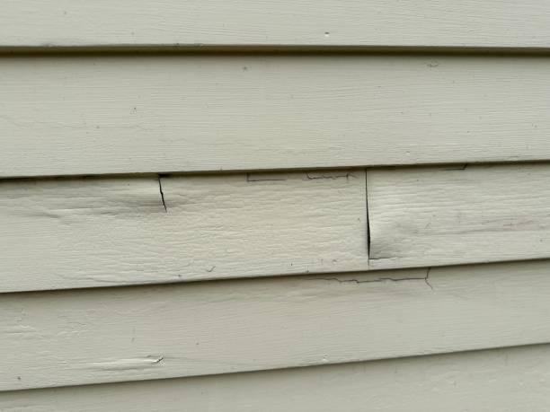 Best Fiber Cement Siding Installation  in Duarte, CA